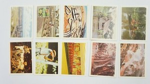 Weet Bix Brazil '77 set of 20 cards 1977