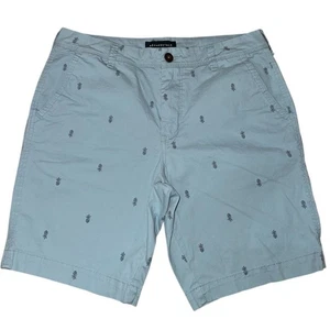 Aeropostale Blue Pineapple Print Shorts for Men - Bild 1 von 5