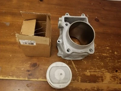 Kit de pistón de cilindro Arctic Cat 550 570 Prowler 09-20 OEM *NÚCLEO REQUERIDO* Foto 1 de 4
