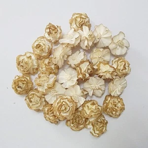 Difusor de caña de flores secas clavel marrón decoración fragancia hágalo usted mismo lote al por mayor conjunto - Imagen 1 de 12