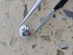 CORONA CIUDADANA 4.66 PLATA PARA CIUDADANO 8110 4-901207 4-901045 NOS - Imagen 1 de 6