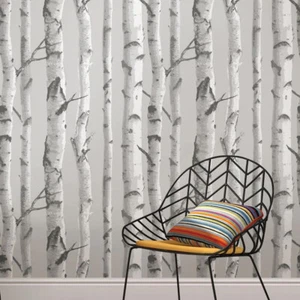 Gray Birch Wood Trees Trunk Forest Scenic Peel & Stick Vinyl WALLPAPER USA - Picture 1 of 5