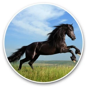 2 x Vinyl Stickers 20cm - Black Stallion Horse Jumping #44335 - Photo 1/8