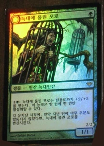 (Foil) [NM] MTG Korean, Dark Ascension,  1 x Wolfbitten Captive - Picture 1 of 1