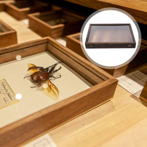 Caja de muestras vitrina de flores secas vitrina mariposas de madera espécimen - Imagen 1 de 12