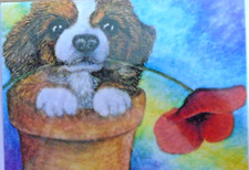 'POPPY' BLANK GREETING CARD - SUSAN ALISON