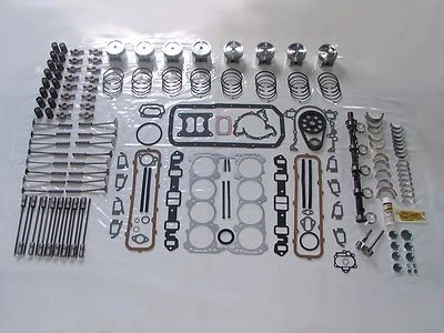 Kit de reconstrução de motor luxo mais completo 64 Buick 300 V8 2bbl carb 1964 - Imagem 1 de 4