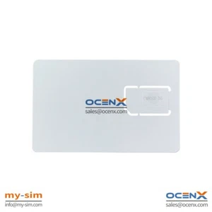 Carte SIM 5G UE UICC Test pour ROHDE&SCHWARZ R&S CMX500 Wireless Communication Tes - Photo 1 sur 3