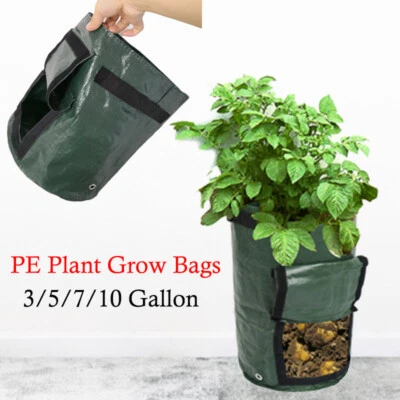 3/10 gallon Potato Tomato Grow Planter PE Container Bag Root Veg Plant Pouch Pot - Image 1 of 4