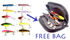 COMBO DE 10 CRANKBAITS Y BOLSA DE TRANSPORTE PORTÁTIL/PESCA DE LUROS DE EE. UU. - Imagen 1 de 9