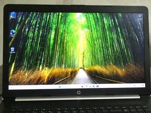 HP LAPTOP 17" INCH SCREEN, 1TB HDD, 16GB RAM, WINDOWS 11 HOME, DVDRW DRIVE, WIFI - Picture 1 of 13
