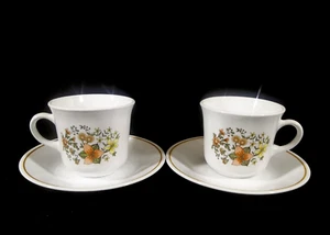 Corelle Indian Summer Set of 2 Cups with Saucers - Picture 1 of 10