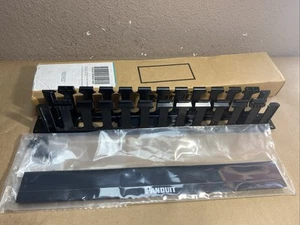 Panduit WMPFSE PatchLink gestore cavi orizzontale 19 pollici 1 RU - Foto 1 di 14