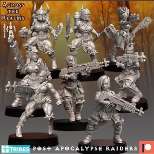Post Apocalypse Raiders(x8/TTRPG/Wargaming/Dungeons and Dragons/Across the Realm - Bild 1 von 1