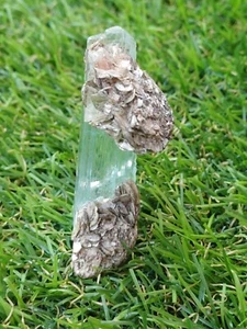 30g Aquamarine Natural Specimen Gemstone (A1) - Foto 1 di 5