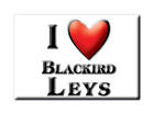 Blackird Leys, Oxfordshire, England - Fridge Magnet Souvenir Uk