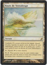 ► magic-style ◄ mtg-windbrisk heights/Hauts de ventabrupt-lorwyn-ex