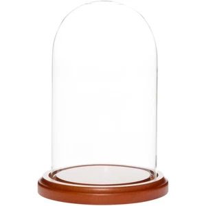 Plymor 4" x 7" Small Glass Display Dome Cloche (Walnut MDF Base) - Picture 1 of 2