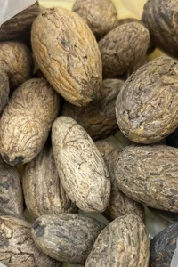 ⭐ENVÍO RÁPIDO⭐ 100g de raíz de peonía orgánica Oud Al-Saleeb peonia seca عود ... - Imagen 1 de 1