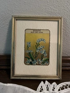 Vintage Edwardian Chroma Label For French Seed Packet Ephemera In Gold Framed - Picture 1 of 4