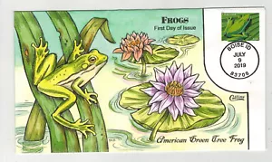2019 SCARCE COLLINS HANDPAINTED FROGS AMERICAN GREEN TREE FROG IDAHO - Picture 1 of 1