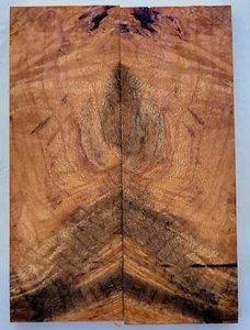 Maple Burl Knife Scales, Gun Grips, Box Wood - 5.5" x 2" x 0.3" - Picture 1 of 3