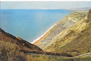 postcard - isle of wight blackgang view of the chine - Picture 1 of 2