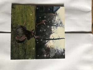 Twisted Nerve Cd - Picture 1 of 2