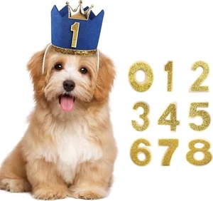 Crown Dog Birthday Hat Girl Boy Reusable Birthday Party Cat Kitten HeadbandAd... - Picture 1 of 4