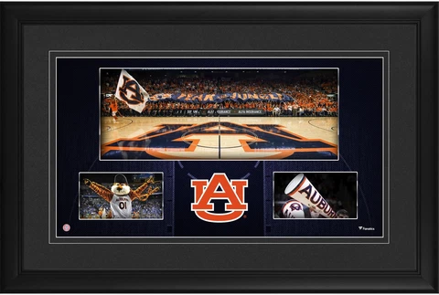 Auburn Tigers Framed 10" x 18" Auburn Arena Panoramic Collage Cover