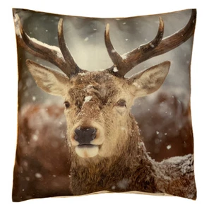 *Hirsch* Fotodruck, Natur, Winter, Schnee, Wild, Jagd, Deko, weiß ca. 40x40cm - Bild 1 von 3