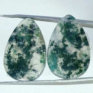 28,60 kt natürlicher Moosachat Paar Birne Cabochon Edelstein 16 x 25 x 4 mm - Bild 1 von 4