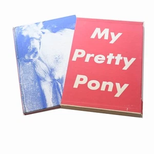 SIGNED Stephen King MY PRETTY PONY Barbara Kruger Coffee Table Book Ltd Edition - Picture 1 of 10
