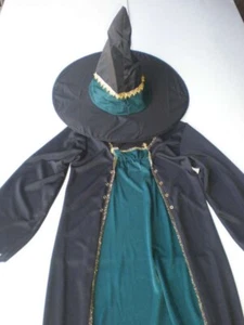 Renaissance Witch 8-10 Girl Costume + Hat + Glovelets Black/Green Fun World - Picture 1 of 4