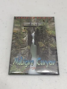Vintage Kühlschrankmagnet ~ CANADIAN ROCKIES - MALIGNE CANYON 3" x 2" Made in USA - Bild 1 von 6