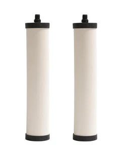 Franke FRC06-2PK Cartridge, 2 Count (Pack of 1), White - Picture 1 of 1