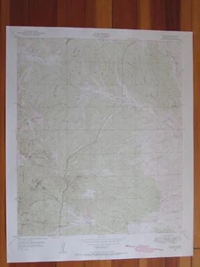 Tyrone New Mexico 1955 Original Vintage USGS Topo Map - Picture 1 of 1