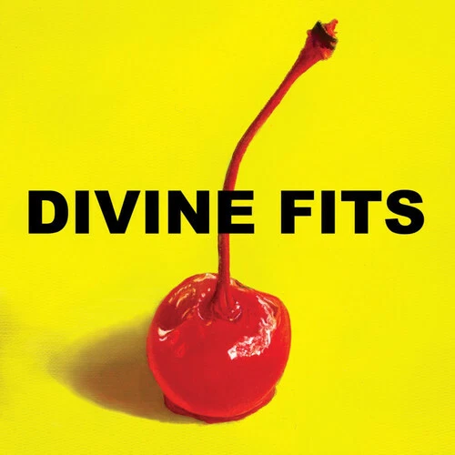 A Thing Called Divine Fits by Divine Fits (Record, 2012)