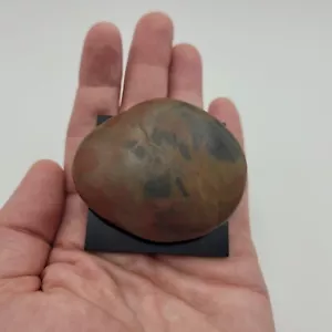 Jasper Chinese River Stone 4 Color 68g 6cm Rounded Flat Pebble - Picture 1 of 11