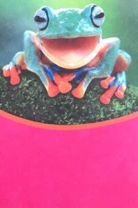 Happy VALENTINE'S DAY, Cute Frog, YOU MAKE MY FACE HAPPY, Greeting  Card - Picture 1 of 3