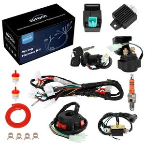 Kit de arnés de cableado eléctrico compatible con Taotao Coolster 110cc 125cc chino - Imagen 1 de 7