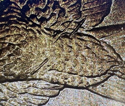 2000-P Sacagawea Dollar Wounded Eagle  Nice Circulated Condition (5) - Image 1 of 3