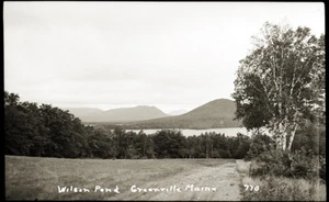 EARLY 1900s POSTCARD FILM NEGATIVE, "WILSON POND, GREENVILLE MAINE #770" - Picture 1 of 1