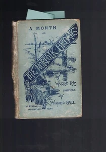 A Month on the Norfolk Broads by Walter Rye (1887) Wilfrid Ball Illustrated - Picture 1 of 7