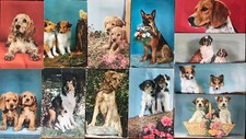 super lotto 12 cartoline d'epoca CANI con SUONO Labrador Golden Retriever Lassie