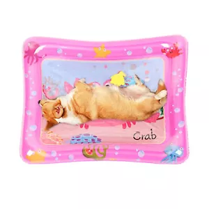 Water Sensory Playmat For Pet Play Water Sensory Playmat Comfortable Dog Bed Mat - Picture 1 of 20