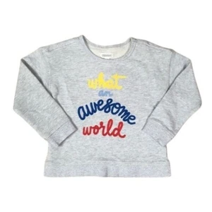 Gymboree Girls Sweatshirt – Size 3-6M, Gray with "What an Awesome World" Embroid - Picture 1 of 5