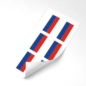 Pegatinas Bandera Rusia x6 25mm Coche Bicicleta Casco Vinilo Bandera Rusa - Imagen 1 de 1