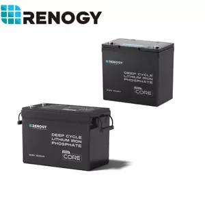 Renogy 100Ah 200Ah 300Ah 12V Solar Lithium Battery Mini Iron Phosphate Home RV - Picture 1 of 92