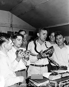 Snake Handlers in Church, Harlan County, Kentucky - 1946 - Vintage Photo Print - Picture 1 of 1